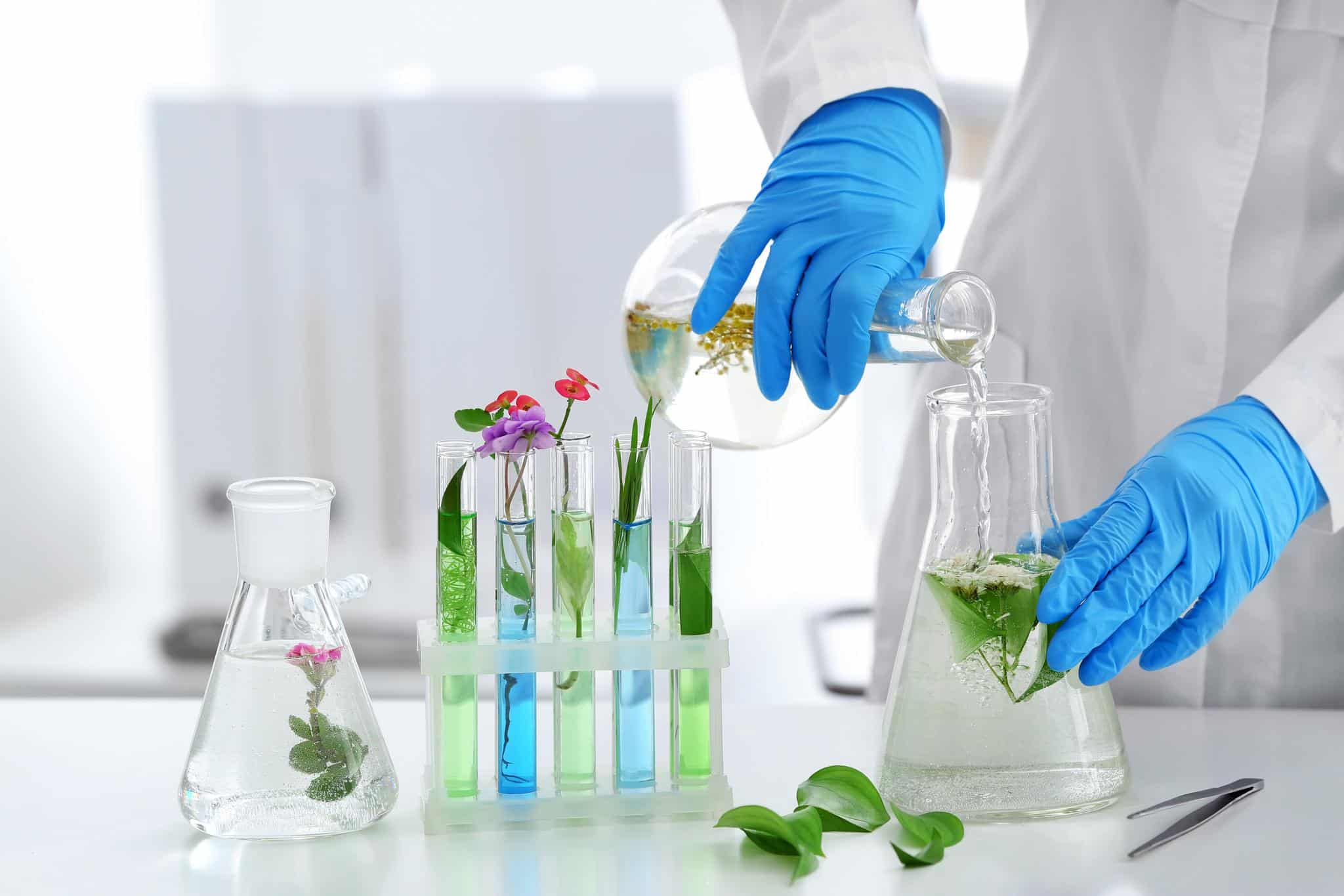 Plantes actives